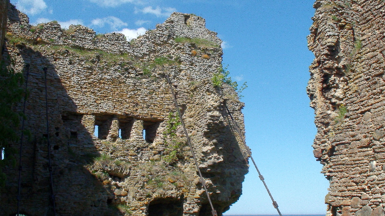 gut gestützt (genauer: gezogen)