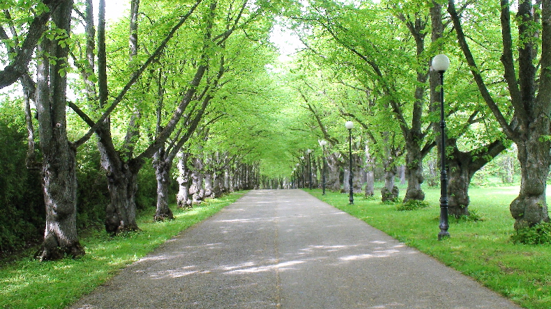 Allee zum Park Oru