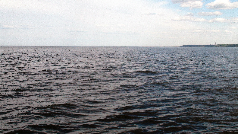 irgendwo unter der Möwe ist St. Petersburg