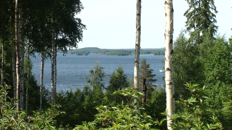 Blick vom Langlaufhügel auf den See