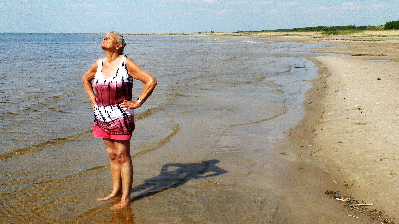 Strand in Ainazi mit Grenzwall im Hintergrund und Sonnenanbeterin im Vordergrund
