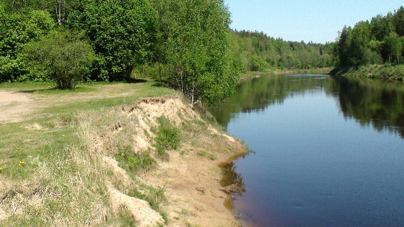 Blick vom Picknickplatz flussaufwärts