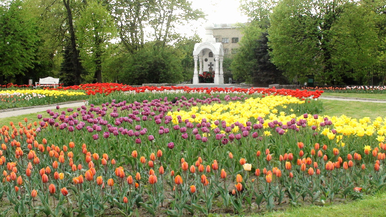 Blumenmeer vor Kapelle