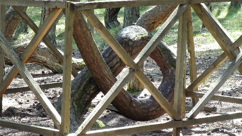 ganz schön gelenkig - und schützenswert