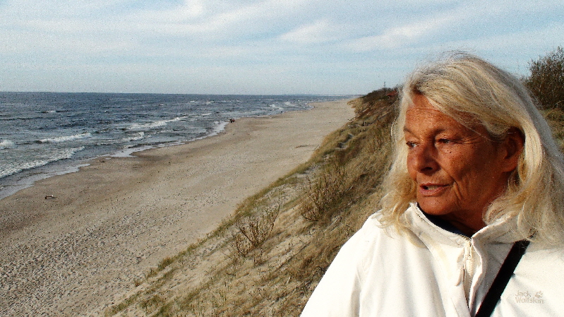 Dünen schützen vor den Wellen der Ostsee