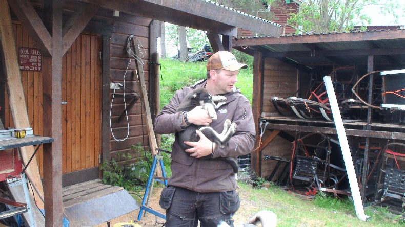 Jan, Gastgeber für Hundeschlittenurlaube