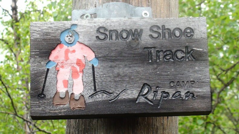 fröhliche Schneeschuhwanderin