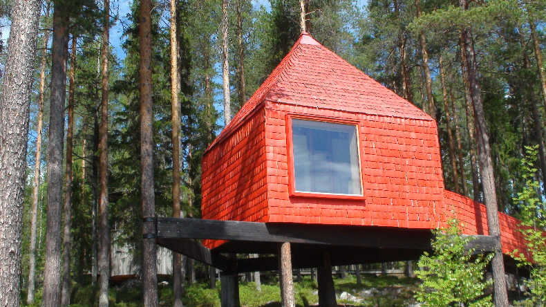 Blue Cone �nderte seine Farbe auf Orange