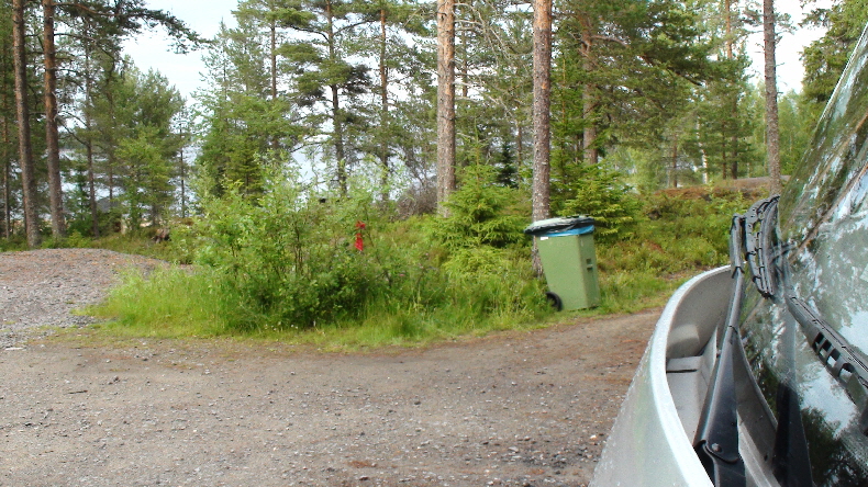 Stellplatz gegenüber von Holmsund, durch die Bäume lugt der Botnische Meerbusen